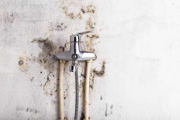 Best DIY Mold Remediation Support Services in Apache, OK