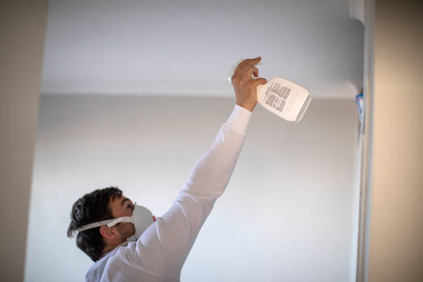 Apache, OK Mold Removal Pros